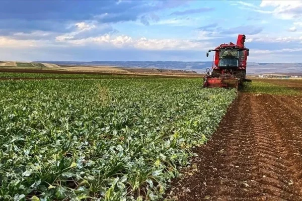 Köye Dönene Devlet Desteği: Yeni Hayat İçin Maddi Teşvik Başladı